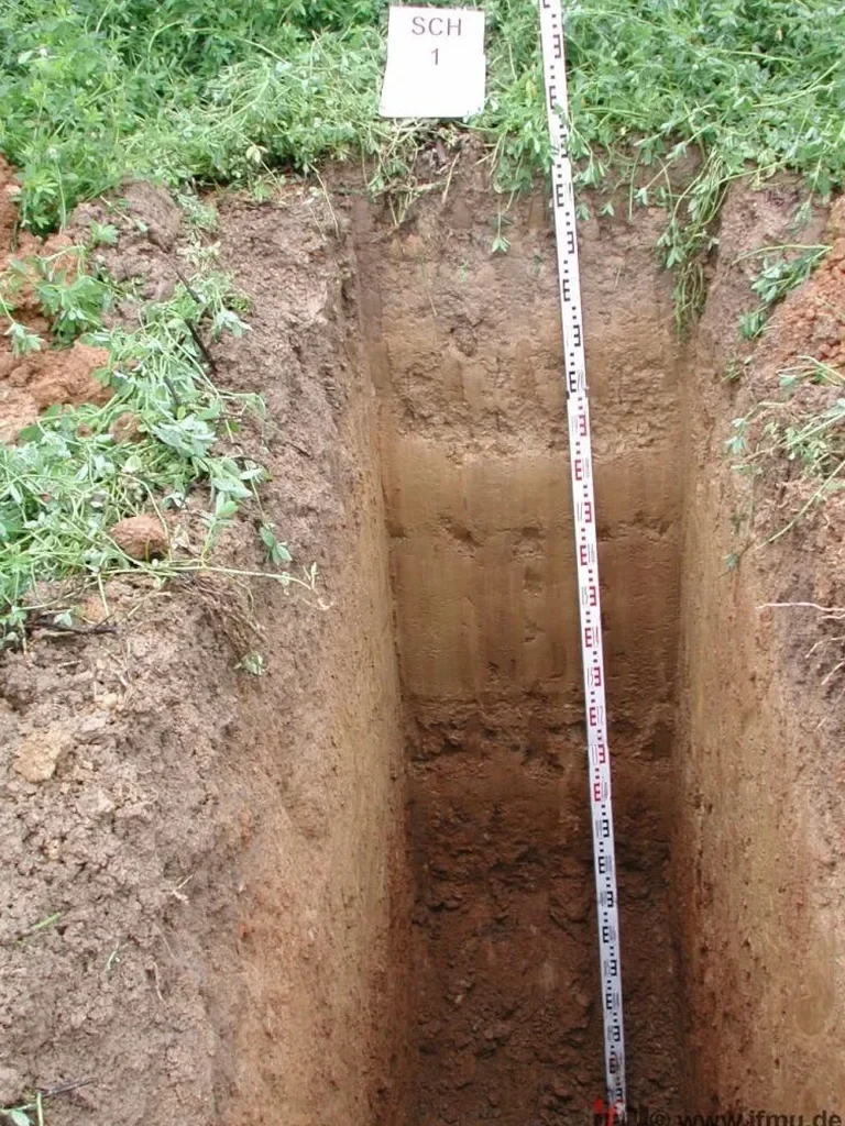 Exploratory Test Pits in Torrance, CA – Shallow Soil Investigation